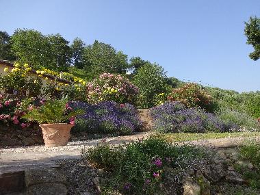 Maison de vacances �/en/au Staffolo (Ancona)ou appartement ou maison de vacances