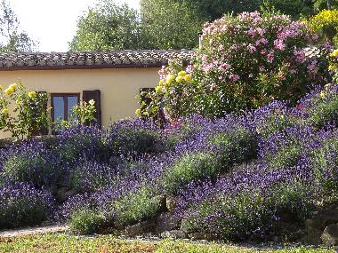 Maison de vacances �/en/au Staffolo (Ancona)ou appartement ou maison de vacances