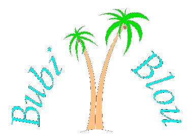 Appartement de vacances �/en/au Willemstad (Curacao)ou appartement ou maison de vacances