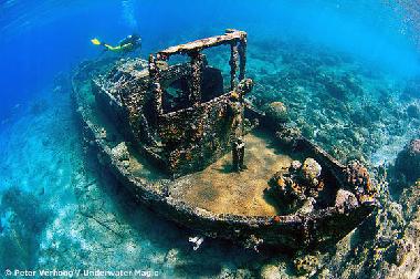 Appartement de vacances �/en/au Willemstad (Curacao)ou appartement ou maison de vacances