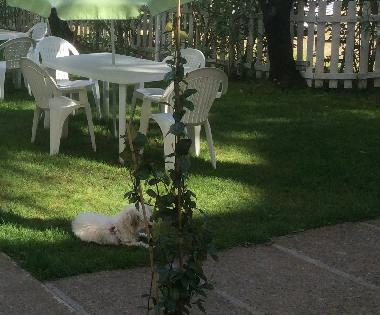 Appartement de vacances /en/au Lamalou-les-Bains (Hrault)ou appartement ou maison de vacances