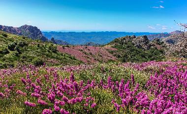 Appartement de vacances /en/au Lamalou-les-Bains (Hrault)ou appartement ou maison de vacances