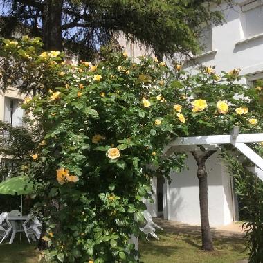 Appartement de vacances /en/au Lamalou-les-Bains (Hrault)ou appartement ou maison de vacances