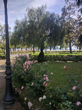 Appartement de vacances �/en/au La Spezia (La Spezia)ou appartement ou maison de vacances