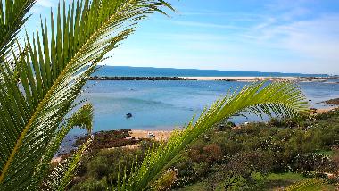 Maison de vacances /en/au Manta rota (Algarve)ou appartement ou maison de vacances