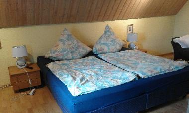 Maison de vacances /en/au Geiersthal (Niederbayern)ou appartement ou maison de vacances
