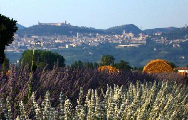 Appartement de vacances �/en/au bastia umbra (Perugia)ou appartement ou maison de vacances