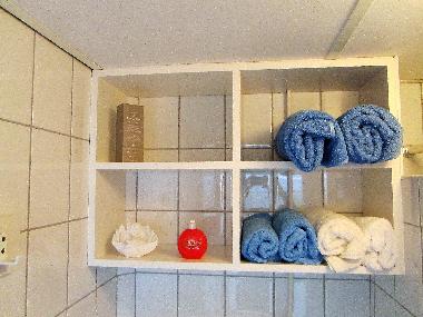 Maison de vacances /en/au Zoutelande (Zeeland)ou appartement ou maison de vacances
