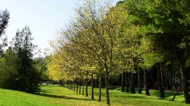 Appartement de vacances �/en/au italia (Perugia)ou appartement ou maison de vacances