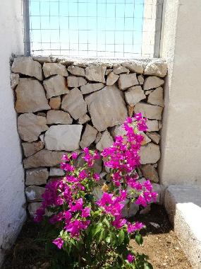 Maison de vacances �/en/au san pietro in bevagna (Taranto)ou appartement ou maison de vacances