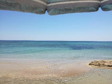 Maison de vacances �/en/au san pietro in bevagna (Taranto)ou appartement ou maison de vacances