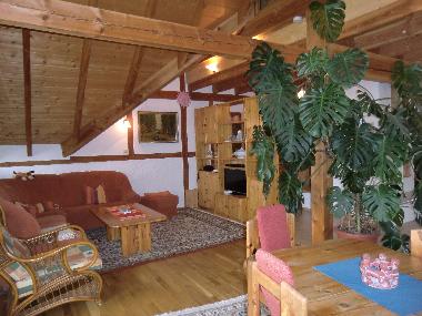 Appartement de vacances /en/au Hattgenstein (Hunsrck - Nahe)ou appartement ou maison de vacances