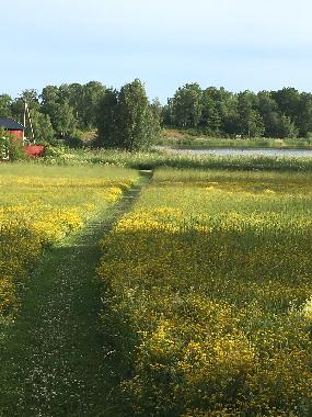 Maison de vacances /en/au Norrtlje (Stockholm)ou appartement ou maison de vacances