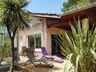 Espace dtente, terrasse bois et chaises longues