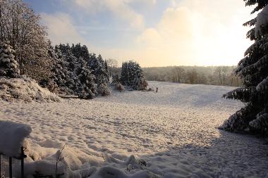 Maison de vacances �/en/au Hohegei� (Harz)ou appartement ou maison de vacances