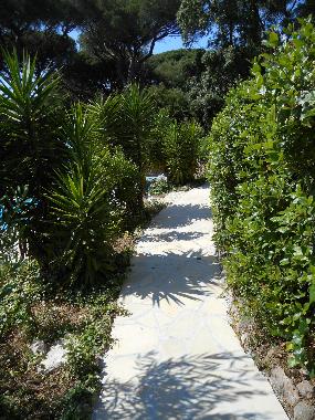 Villa �/en/au Les Issambres (Var)ou appartement ou maison de vacances