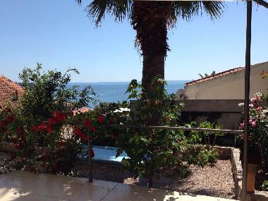 Appartement de vacances �/en/au Bar (Mont�n�gro)ou appartement ou maison de vacances