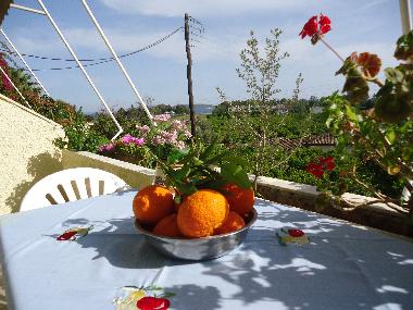 Appartement de vacances /en/au Nafplio (Argolida)ou appartement ou maison de vacances