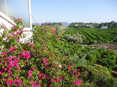 Appartement de vacances /en/au Nafplio (Argolida)ou appartement ou maison de vacances
