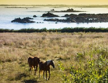 Vue sur la mer depuis le s�jour Vent du Large
