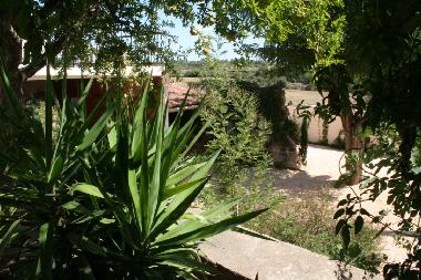 Maison de vacances �/en/au Sant Cinian (H�rault)ou appartement ou maison de vacances