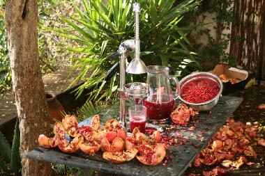 Maison de vacances �/en/au Sant Cinian (H�rault)ou appartement ou maison de vacances