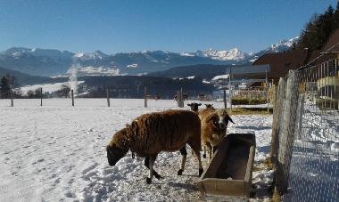 Chalet /en/au Tamsweg (Lungau)ou appartement ou maison de vacances