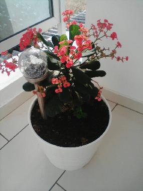 Appartement de vacances �/en/au Avepozo Plage (Lome)ou appartement ou maison de vacances