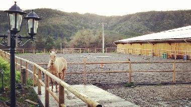 Chalet �/en/au La Motte du Caire (Alpes-de-Haute-Provence)ou appartement ou maison de vacances