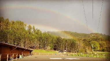 Appartement de vacances /en/au La Motte du Caire (Alpes-de-Haute-Provence)ou appartement ou maison de vacances