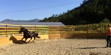 Maison de vacances �/en/au La Motte du Caire (Alpes-de-Haute-Provence)ou appartement ou maison de vacances