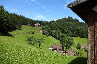 Appartement de vacances �/en/au Bad Peterstal Griesbach (Schwarzwald)ou appartement ou maison de vacances