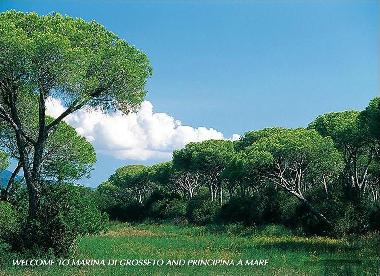 Appartement de vacances /en/au CASTIGLIONE DELLA PESCAIA / PRINCIPINA A MARE (Gro (Grosseto)ou appartement ou maison de vacances