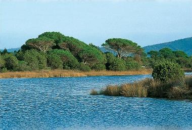 Appartement de vacances /en/au CASTIGLIONE DELLA PESCAIA / PRINCIPINA A MARE (Gro (Grosseto)ou appartement ou maison de vacances