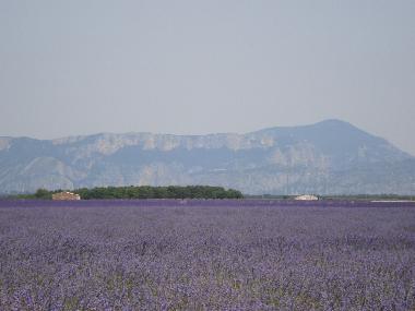 Maison de vacances �/en/au Aups (Var)ou appartement ou maison de vacances