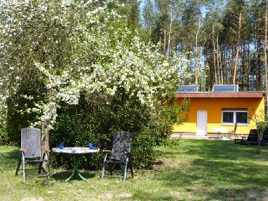 Maison de vacances /en/au Bad Freienwalde (Mrkisch-Oderland)ou appartement ou maison de vacances
