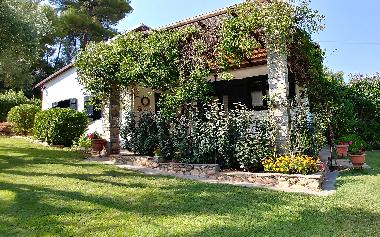 Villa /en/au Nikiti (Chalkidiki)ou appartement ou maison de vacances