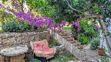 Appartement de vacances �/en/au Antalia (Antalya)ou appartement ou maison de vacances