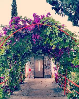 Appartement de vacances �/en/au Antalia (Antalya)ou appartement ou maison de vacances