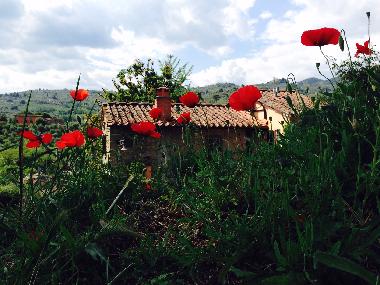 Chambre avec petit djeuner /en/au massa e cozzile (Pistoia)ou appartement ou maison de vacances