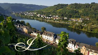 Appartement de vacances /en/au Zell Mosel (Mosel - Saar)ou appartement ou maison de vacances