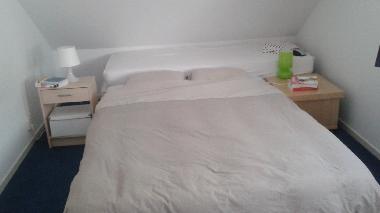 Villa /en/au Oudemirdum (Friesland)ou appartement ou maison de vacances
