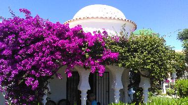 Maison de vacances /en/au Denia (Alicante / Alacant)ou appartement ou maison de vacances