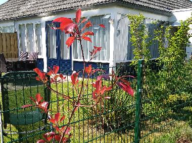 Maison de vacances /en/au Breskens (Zeeland)ou appartement ou maison de vacances