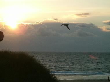 Maison de vacances �/en/au Burgh Haamstede (Zeeland)ou appartement ou maison de vacances