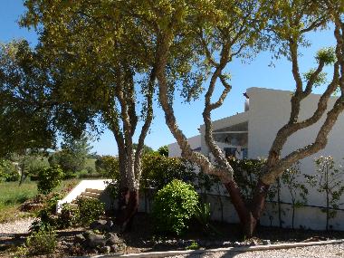 Appartement de vacances �/en/au Aljezur (Algarve)ou appartement ou maison de vacances