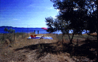 Villa �/en/au Pakostane (Zadarska)ou appartement ou maison de vacances