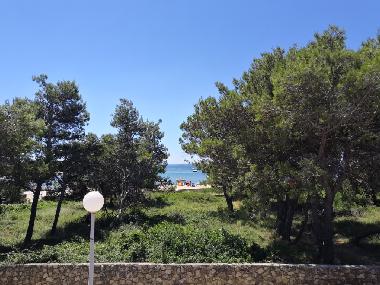 Appartement de vacances �/en/au Vir (Zadarska)ou appartement ou maison de vacances
