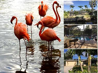 Maison de vacances /en/au Bonita Springs (Florida)ou appartement ou maison de vacances
