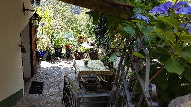 Maison de vacances �/en/au Orasso  (Verbano-Cusio-Ossola)ou appartement ou maison de vacances